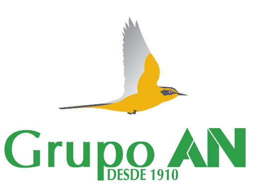 GrupoAN_logo